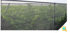 Anti Insect Netting