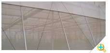 Anti Insect Netting